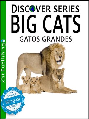 cover image of Big Cats / Gatos Grandes